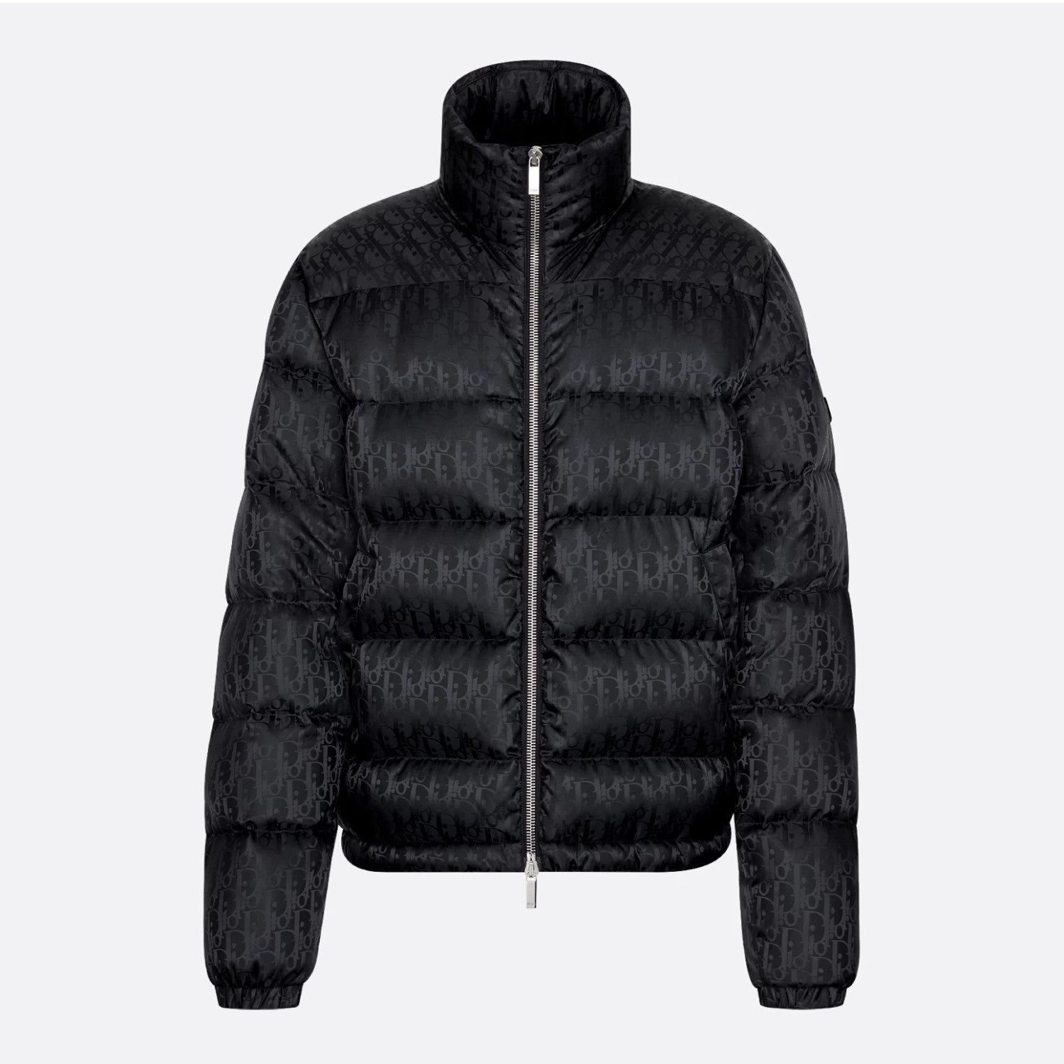 Dior Men's Winter Solid Color Logo Full Print Zipper Collar Down Long Sleeve Puffer Down Jacket #73421