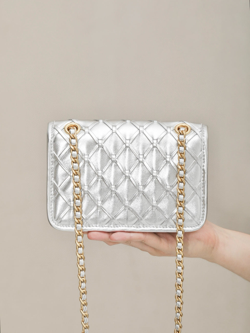 Chanel Metallic Braid Mini Shoulder Bag #317579
