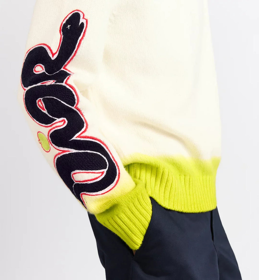 Dior Men's Dior And Kaws Sweater Spring. Fall And Winter Embroidered Crew Neck Gradient Long Sleeve Sweater #71836