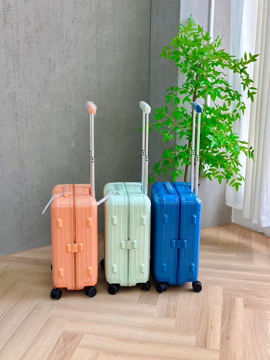 Rimowa Essential Series Five New Seasonal Limited-edition Luggage Models Available In Various Sizes Perfect For Short Trips Or Long Journeys Offering High-quality Luggage Box  #195323
