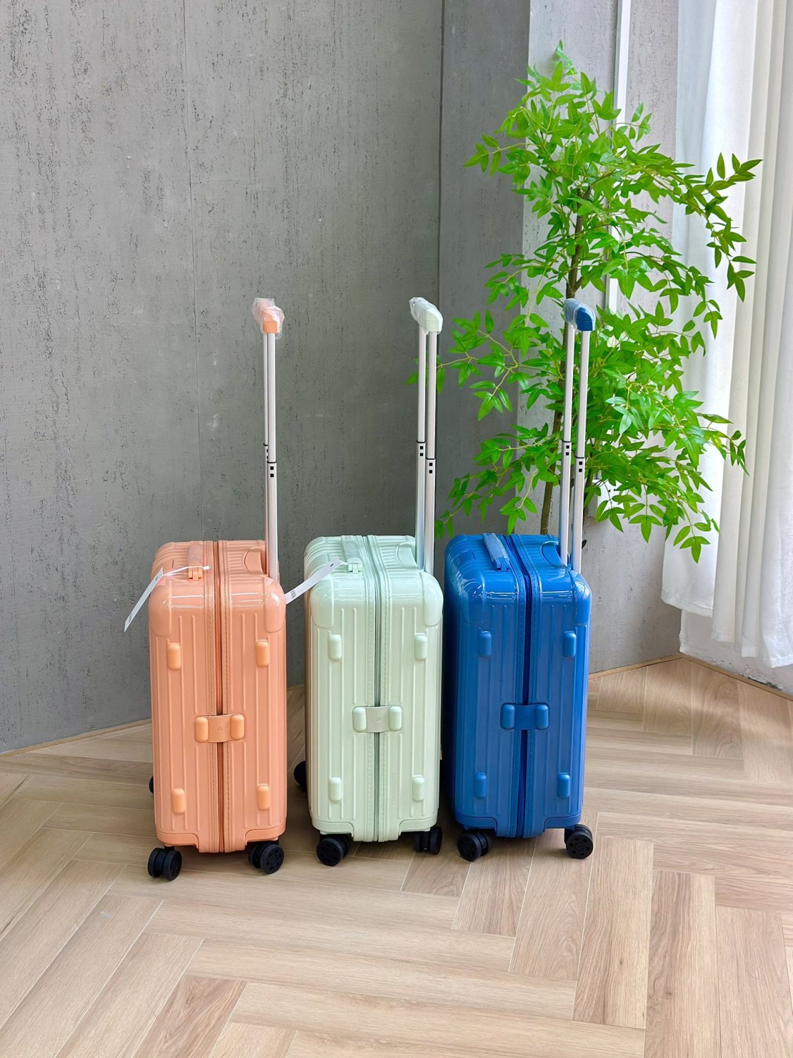 Rimowa Essential Series Five New Seasonal Limited-edition Luggage Models Available In Various Sizes Perfect For Short Trips Or Long Journeys Offering High-quality Luggage Box  #195323