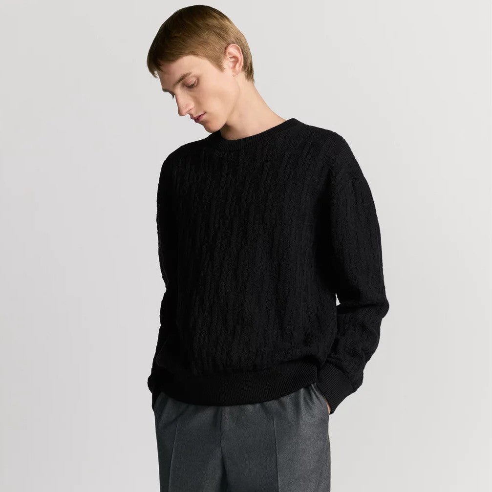 Dior Men's Fall/Winter Fashion Casual Crewneck Pullover Solid Jacquard Sweater #79314