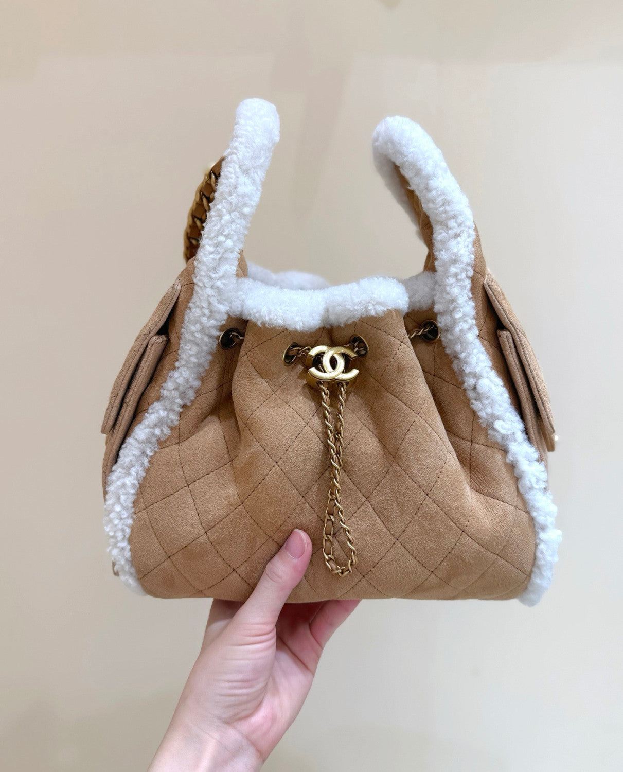 Chanel 25K Teddy Handbag #376285