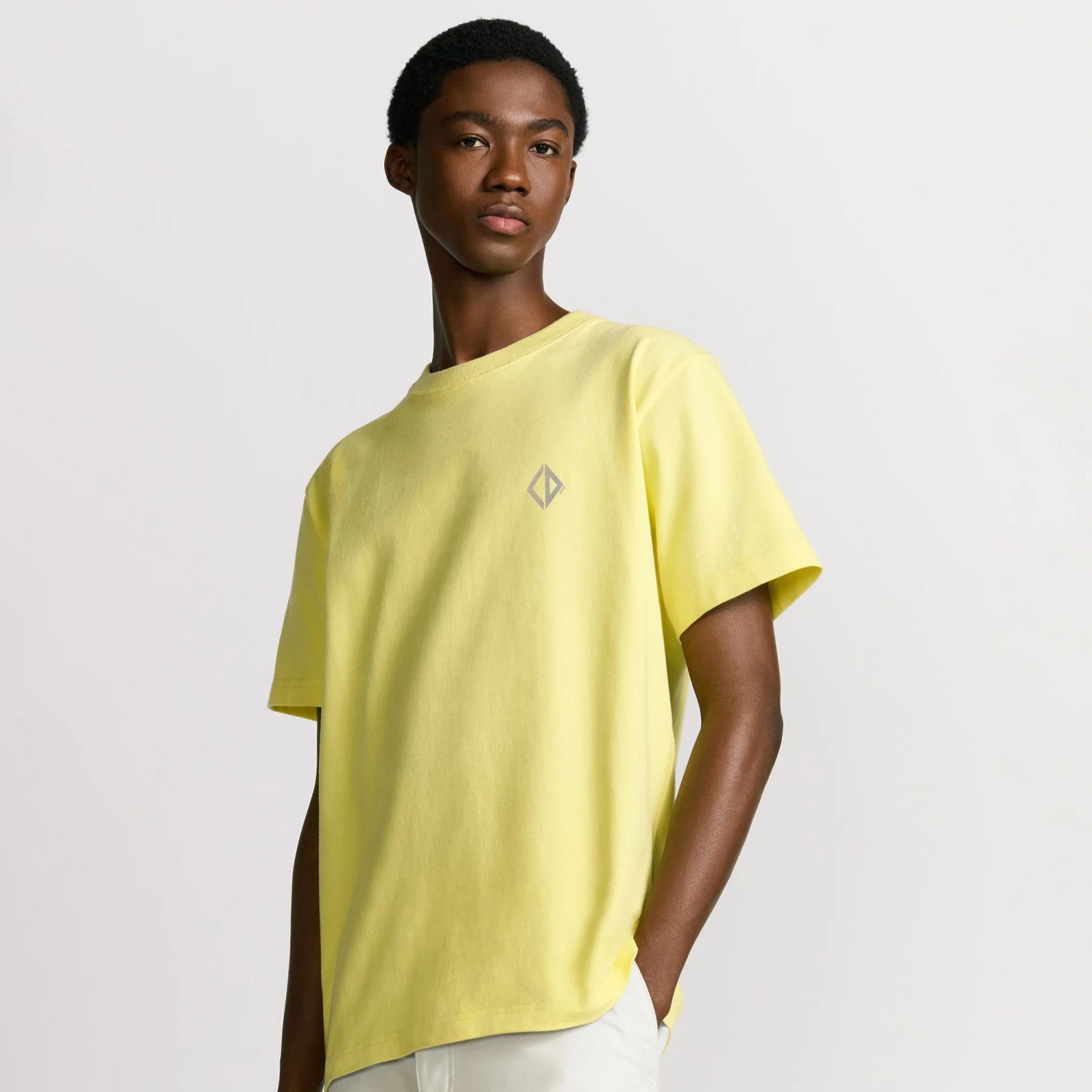 Dior Men's Summer Dior Solid Color Cotton Round Neck Loose Short Sleeve T-Shirt #76267