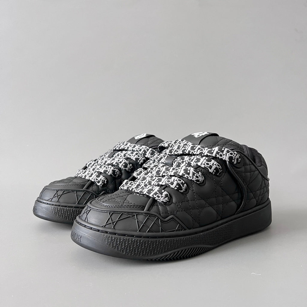 Dior B9s Skater Sneaker Limited and Numbered Edition #315016