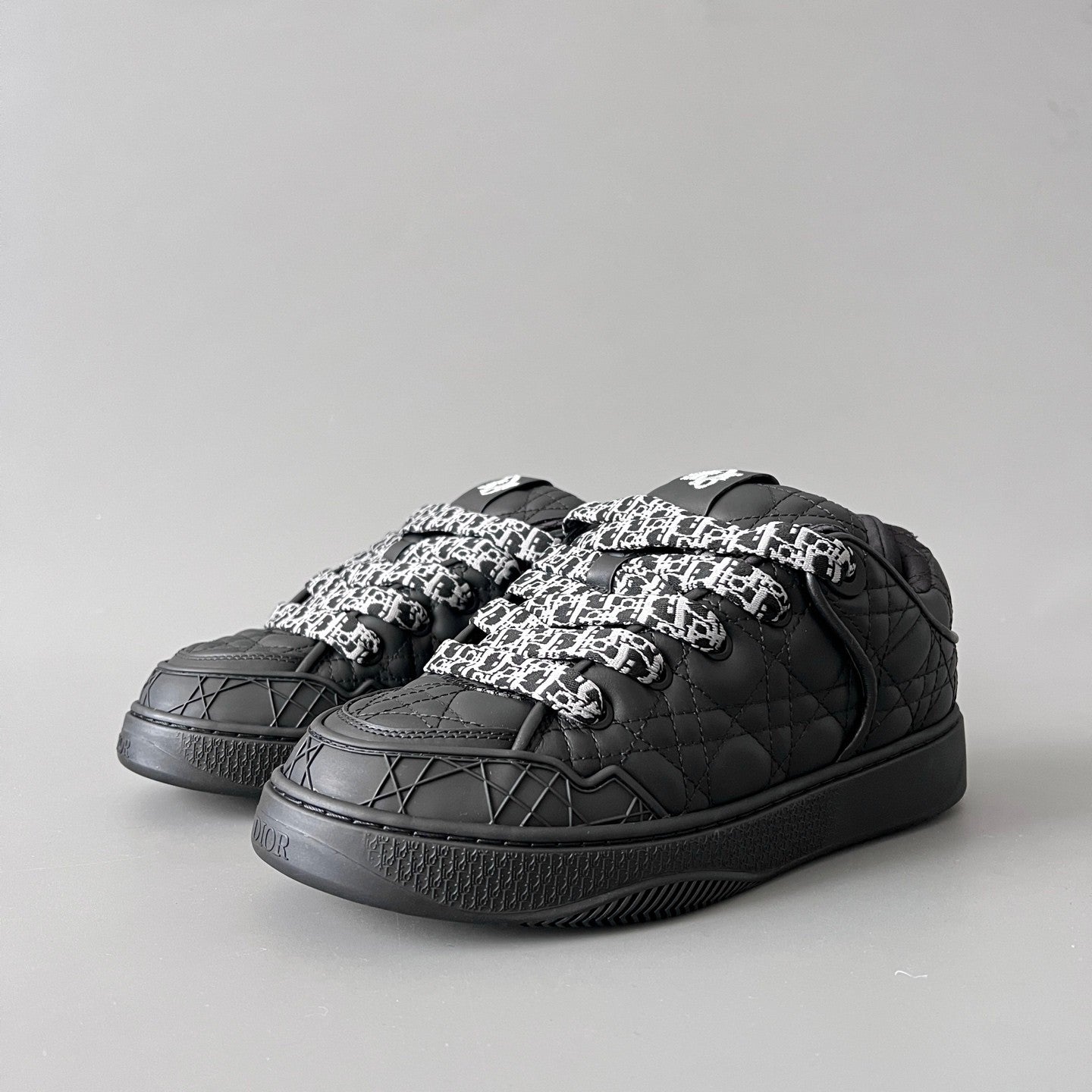 Dior B9s Skater Sneaker Limited and Numbered Edition #315016