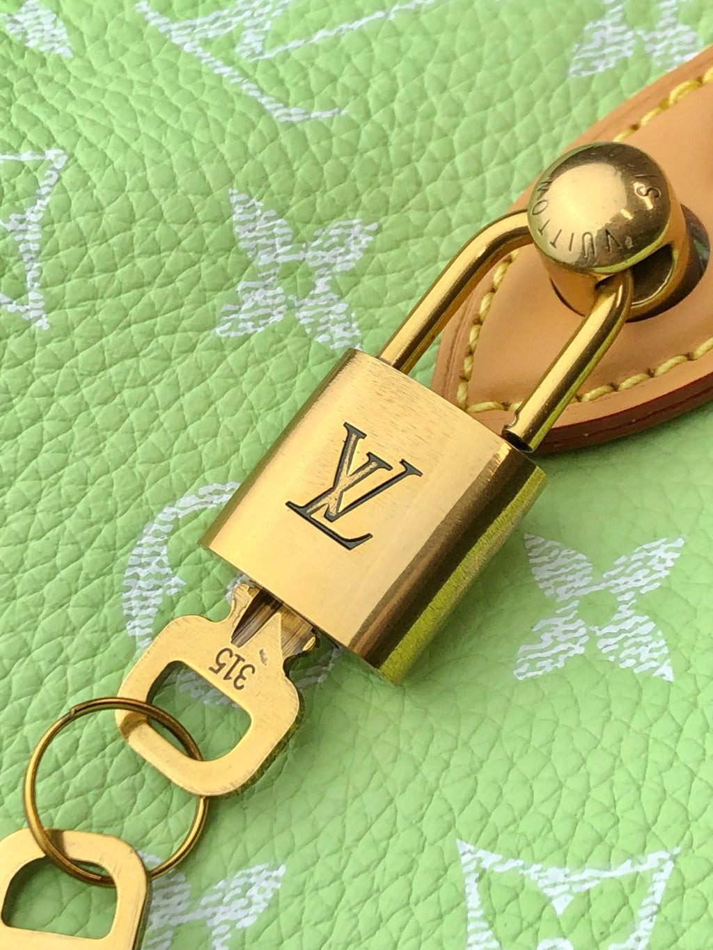 Louis Vuitton Women's Fashion Classic Avocado Green Logo Zipper Closure Leather Shoulder Bag Handbags In Small Medium And Large Sizes Crossbody Bag Bags #78663