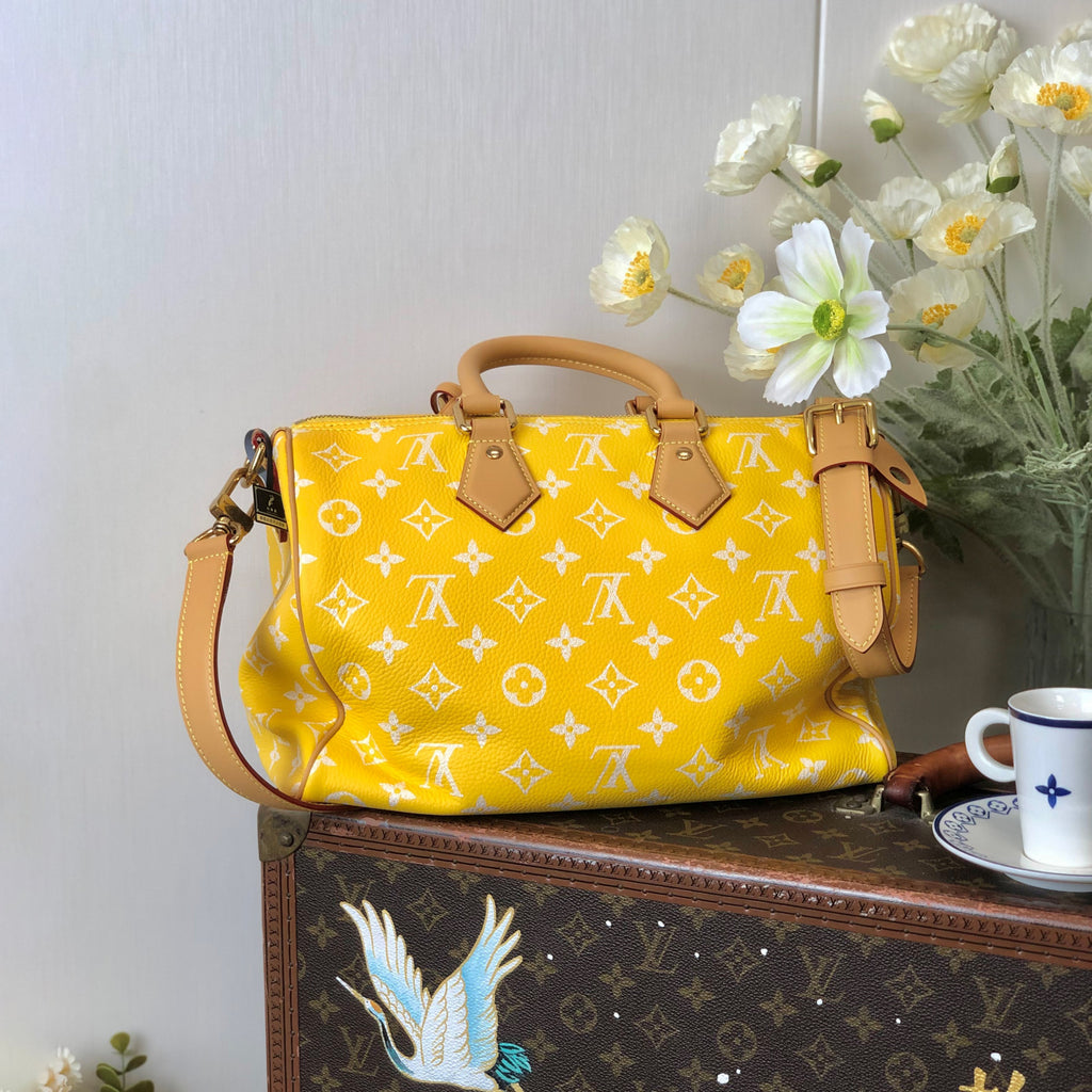 Louis Vuitton Women's Fashion Classic Yellow Logo Zipper Closure Leather Shoulder Bag Handbags In Small Medium And Large Sizes Crossbody Bag Bags #78662