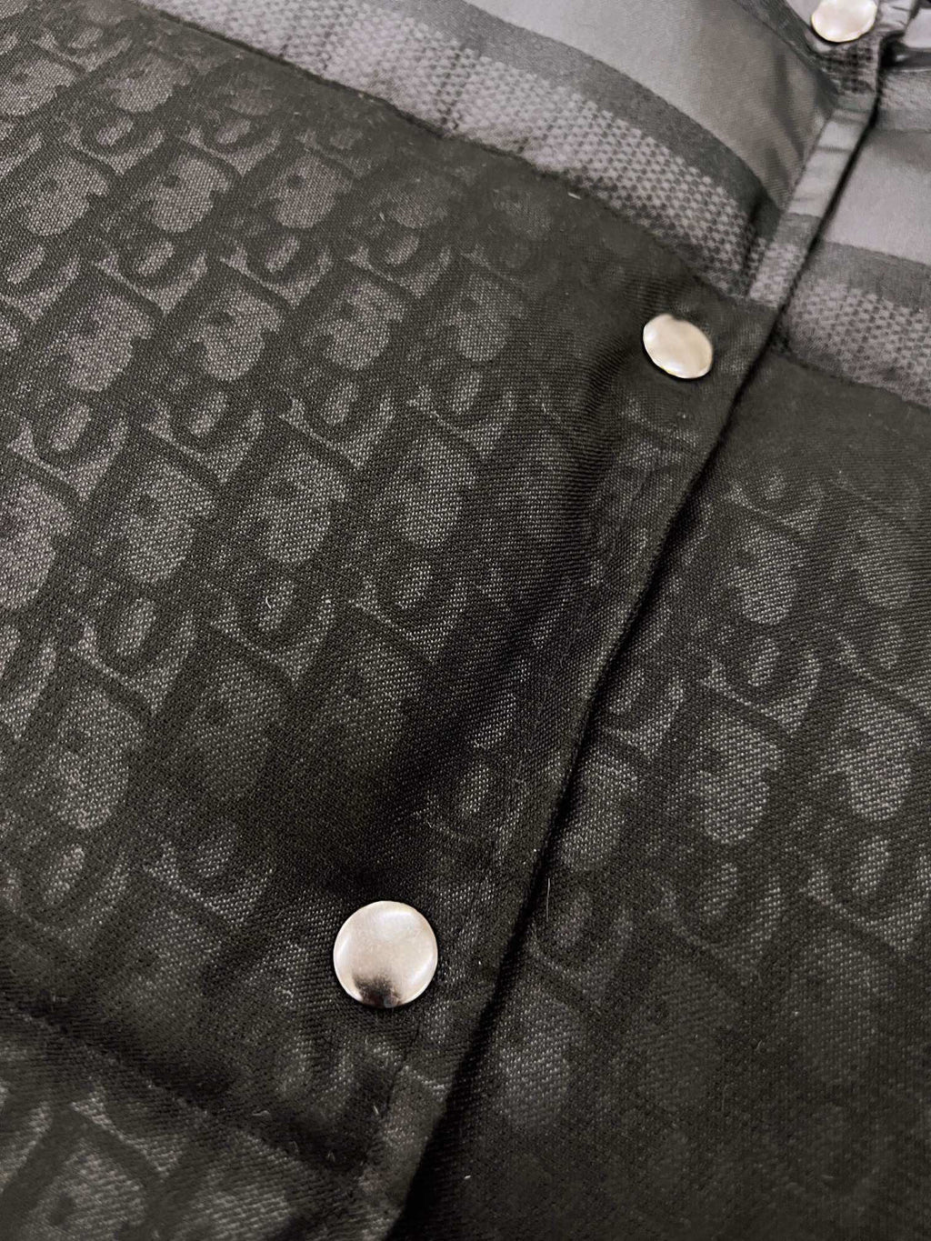 Dior ALPS Leather Printed Sleeveless Down Vest #96475