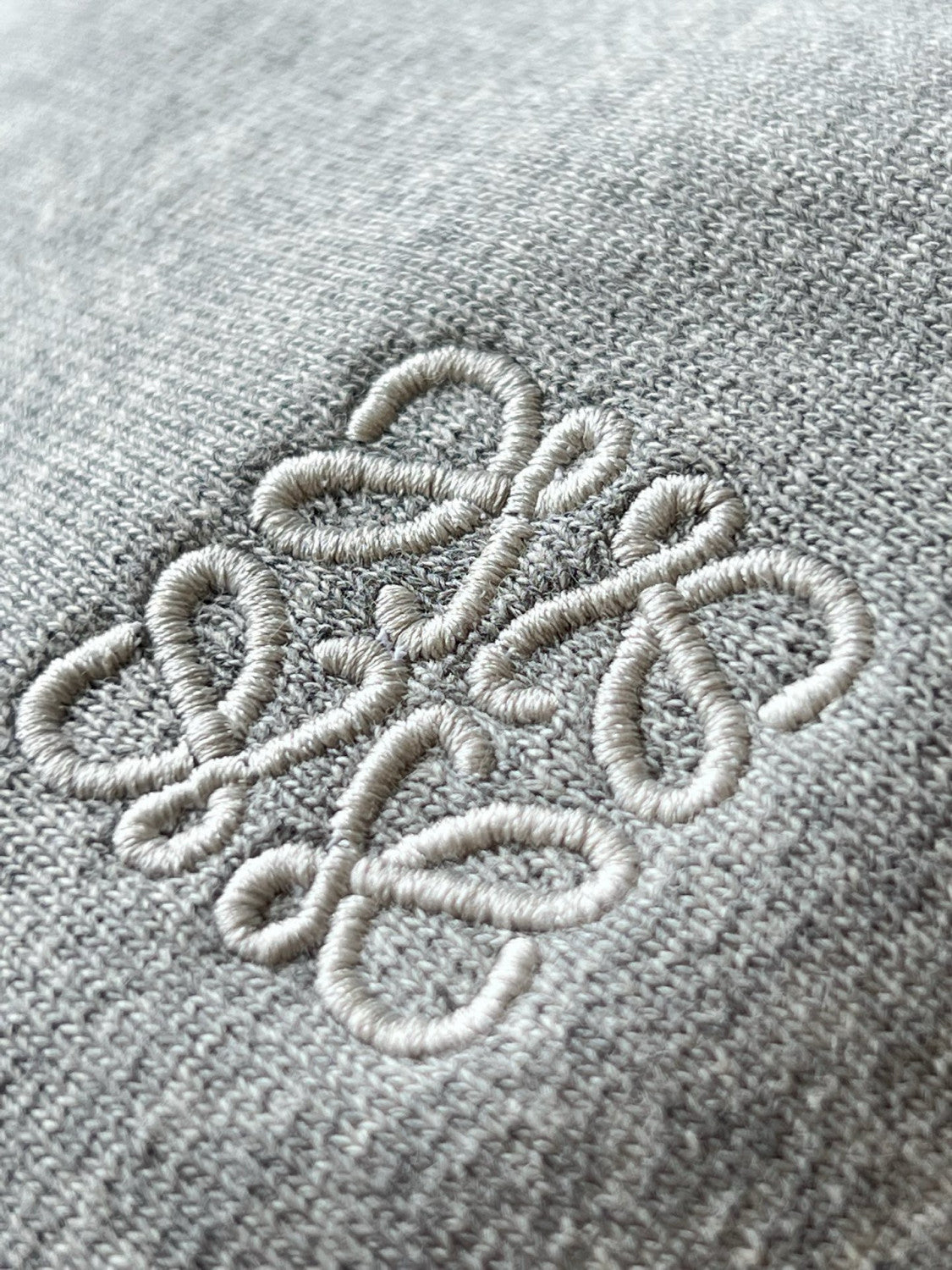 Loewe Men's Logo Embroidery Spring And Autumn Cotton Loose Solid Color Long Sleeve Pullover Hooded Drawstring Sweatshirt #75195