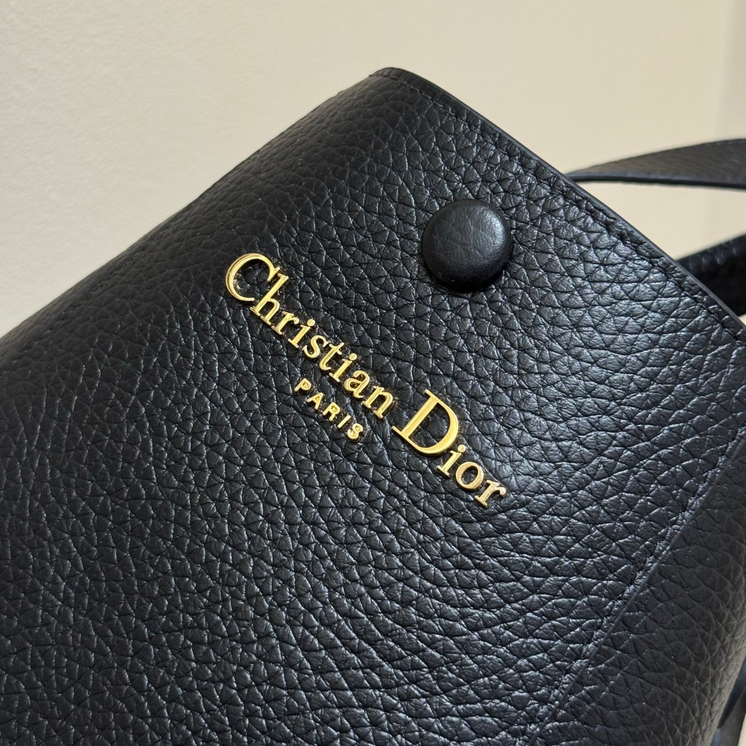 Dior Signature Women's Monogram Printed Solid Colour Grained Cowhide Leather Shoulder Tote Bucket Bag Bags #76662