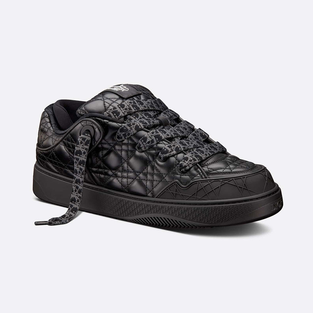 Dior B9s Skater Sneaker Limited and Numbered Edition #315016