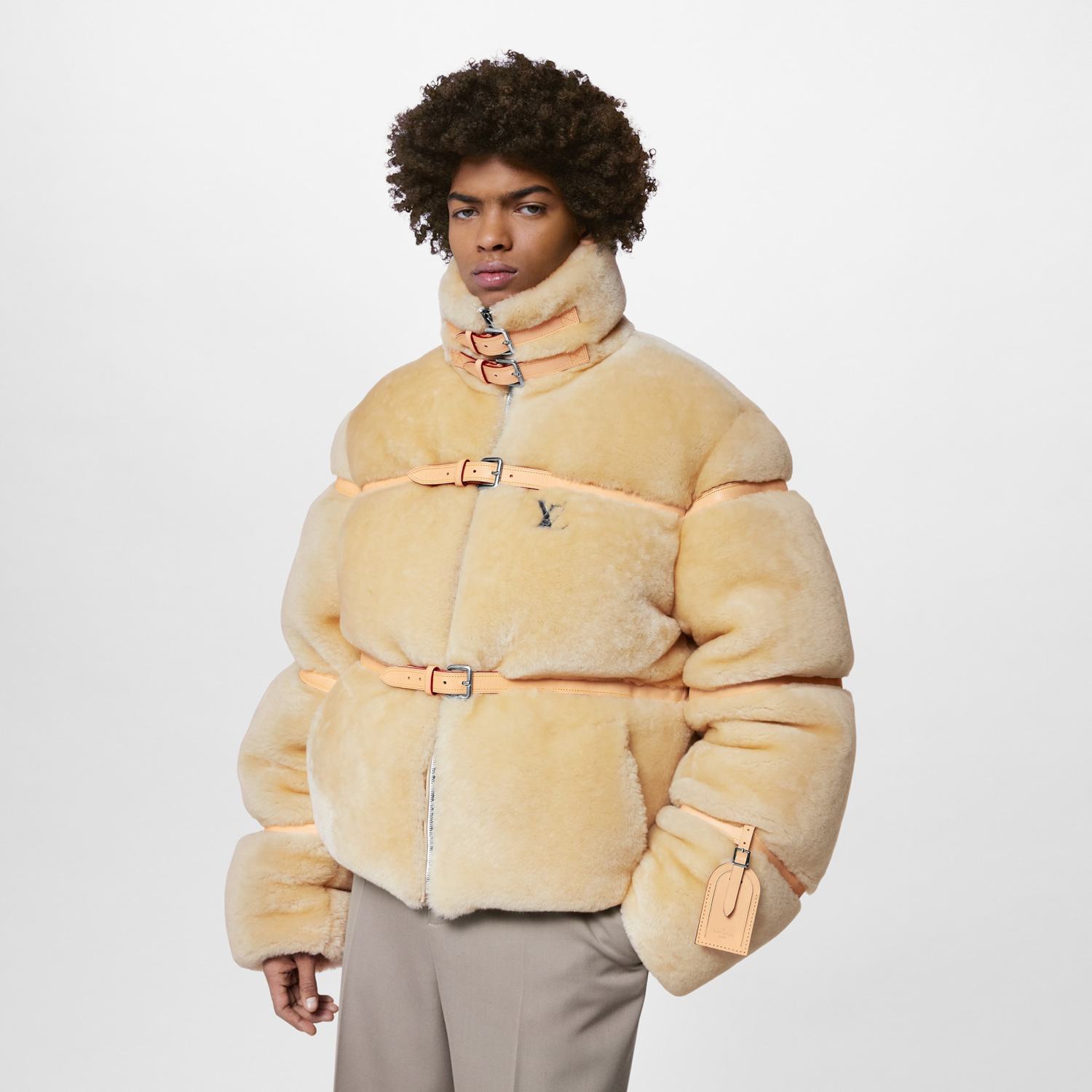 Louis Vuitton Autumn And Winter Wool Puffer Down Jacket #96761
