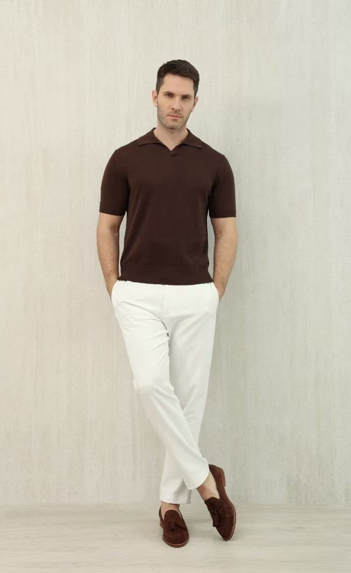 Loro Piana Men's Summer Refreshing Thin Knitted Lapel Short-sleeved Top Multicoloured Fashion Comfortable Temperament T-shirt Ngvp #9956