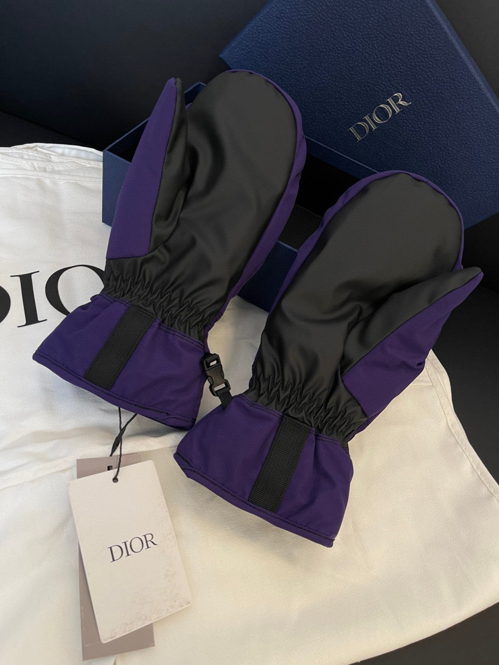Dior Ski Jacket Pants Gloves 3 Piece Set Suit #96688