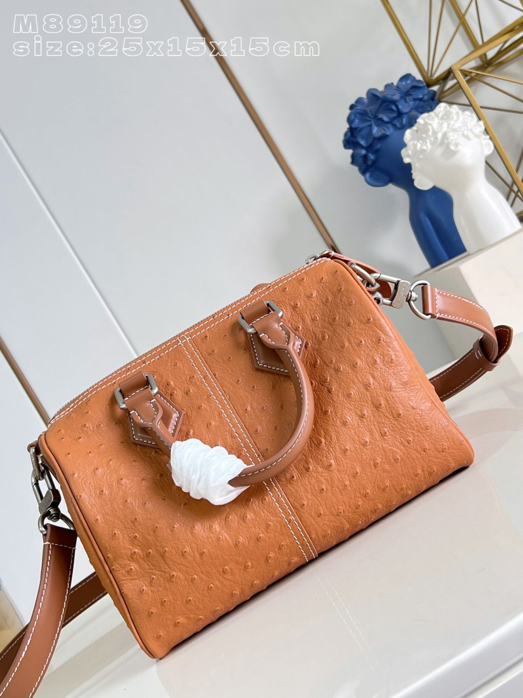 Louis Vuitton Lv Show Men's Speedy 25 Exotic Ostrich N89119 #377227