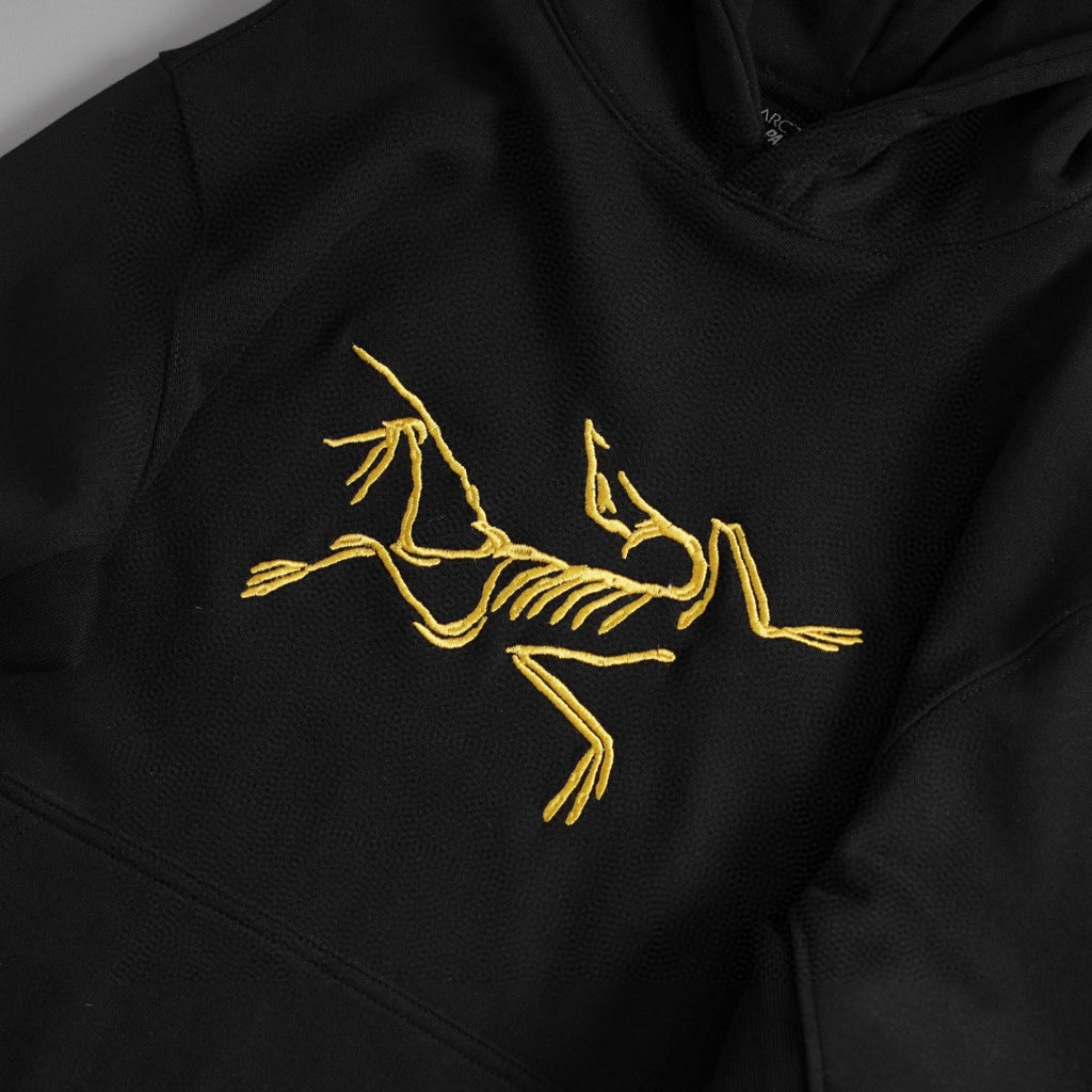Arcteryx Men's and Women's Autumn Clashing Logo Printed Solid Color Loose Hooded Sweatshirt Pullover #97948