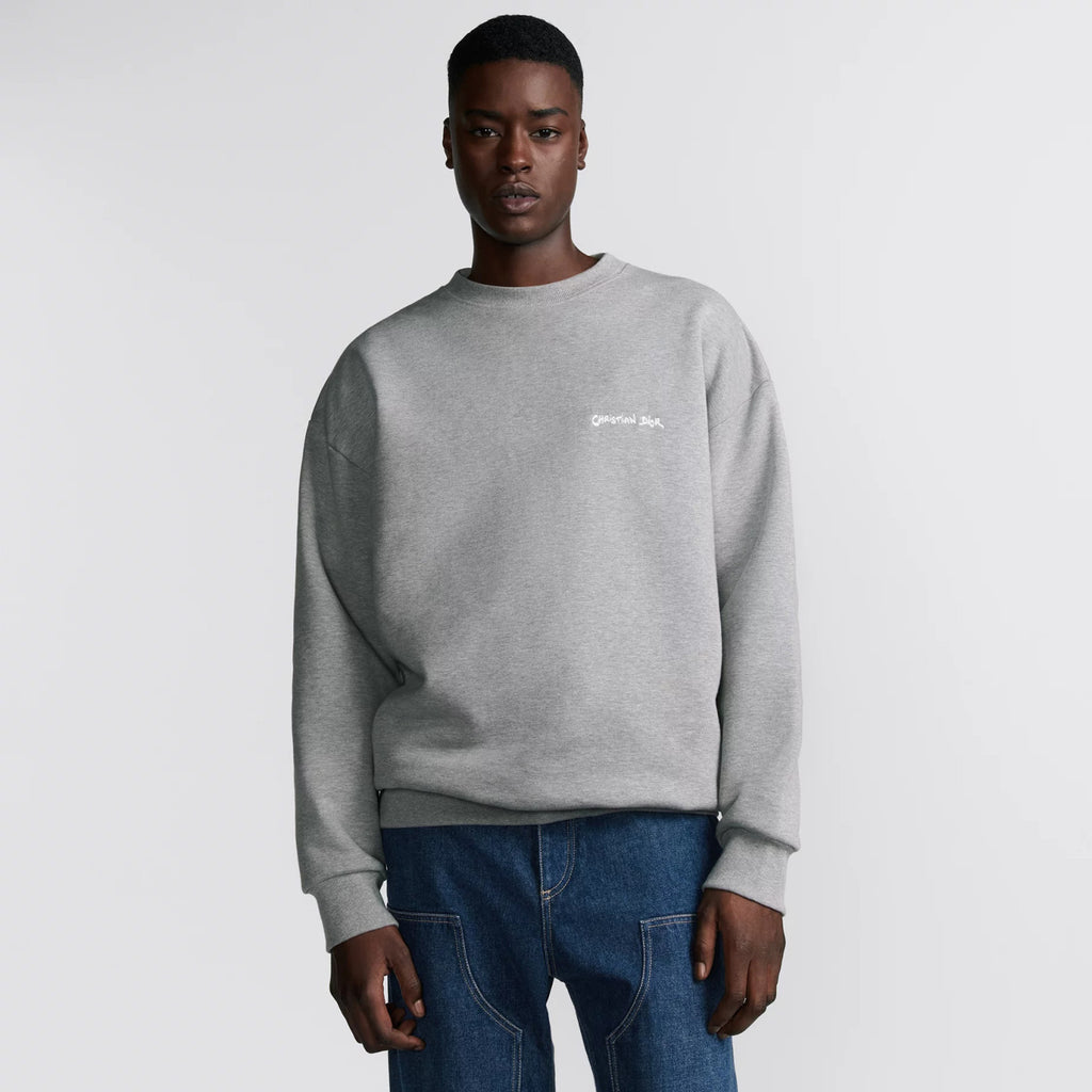 Dior Men's Spring and Autumn Gray Embroidered Letter Logo Round Neck Cotton Long Sleeve Sweatshirt Pullover #72898