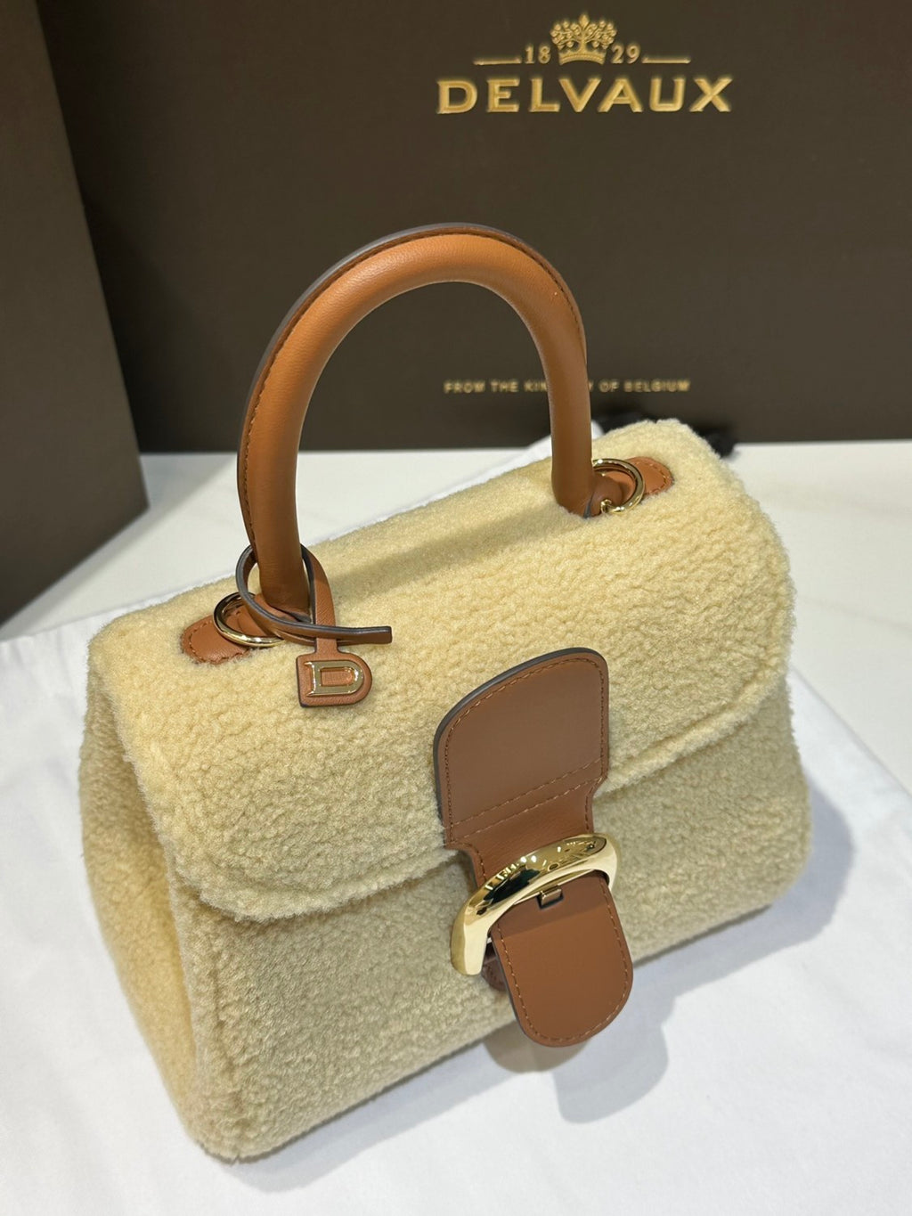 Delvaux Brillant Women's Classic Fashion Leather Shearling Adjustable Strap Crossbody Tote Bag  Bags #78695