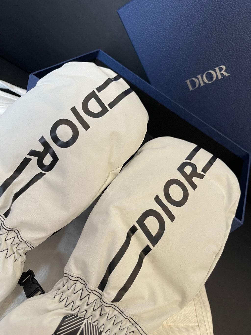 Dior Ski Jacket Pants Gloves 3 Piece Set Suit #96688